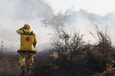 Bomberos piden ayuda para combatir el fuego en el Chaco - Digital Misiones
