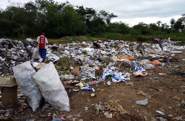 Importación de basura, “parche” ante la falta de conciencia sobre el reciclaje - Nacionales - ABC Color