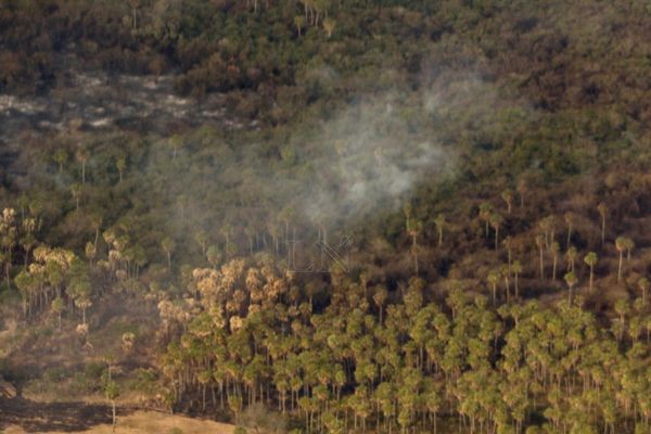 Incendios forestales: Salud realizó unas 243 atenciones en un día