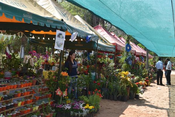 Inauguran el Yvoty Rape en Caacupé - Nacionales - ABC Color
