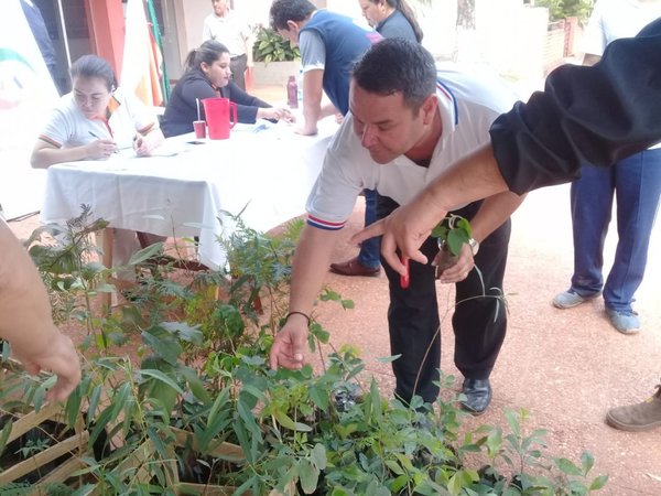 Con especies nativas, pobladores de Curuguaty reforestan casco urbano