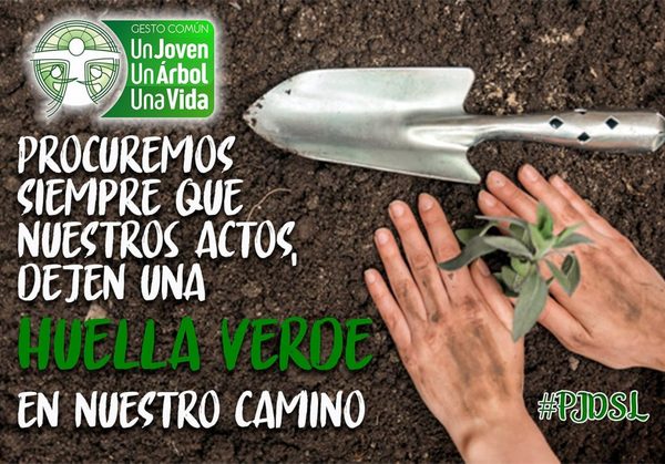 "Gesto Común Un joven, un árbol, una vida" será llevada a cabo este sábado | San Lorenzo Py