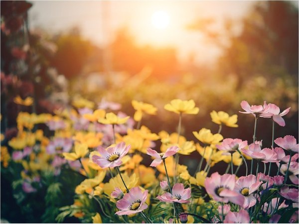 La primavera no empezará este 21 de setiembre