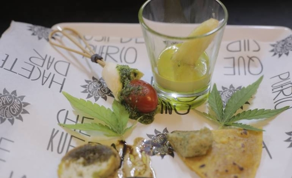 HOY / Invitan a conformar la Cámara Paraguaya de Cannabis Industrial