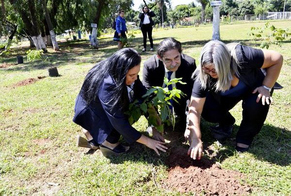 Día del corazón y la primavera en el paseo parque de Villa Elisa - Nacionales - ABC Color