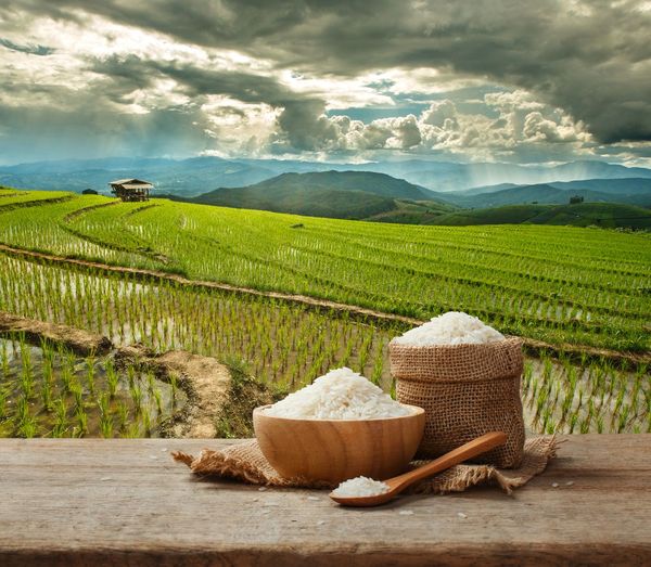 La exportación de arroz al mercado chileno cayó 52%