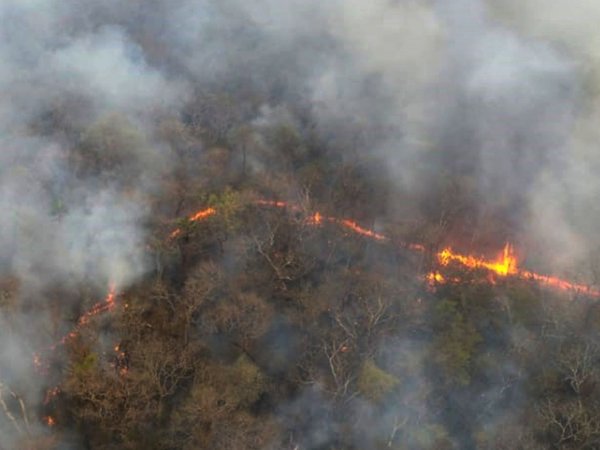 Tras leves lluvias disminuyeron  focos, pero fuego no da tregua