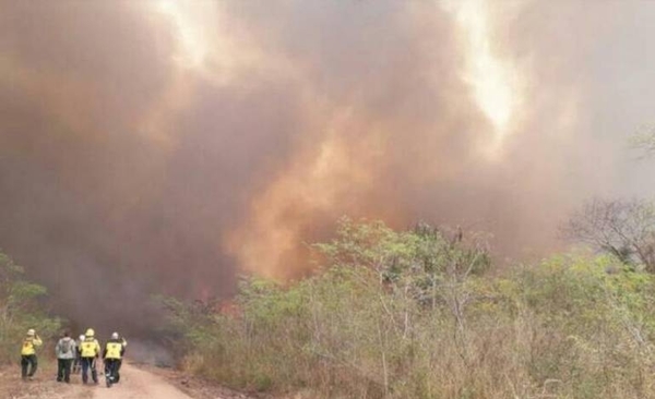 HOY / #HagamosNuestraParte: iniciativa solidaria para ayudar a afectados por incendios en el Chaco