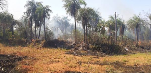 Incendio de pastizal en Caacupé - Nacionales - ABC Color