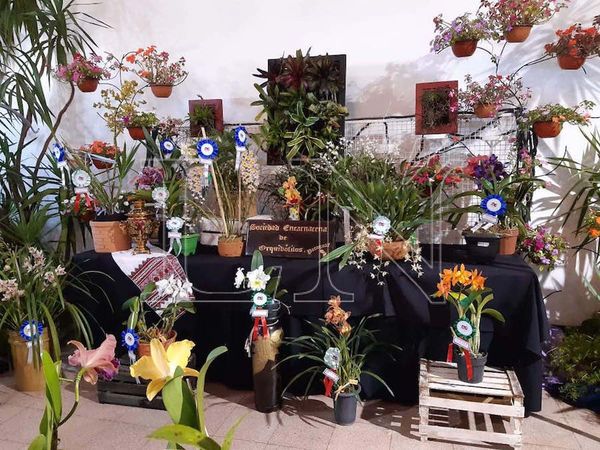 Con flores reciben a la primavera en Encarnación