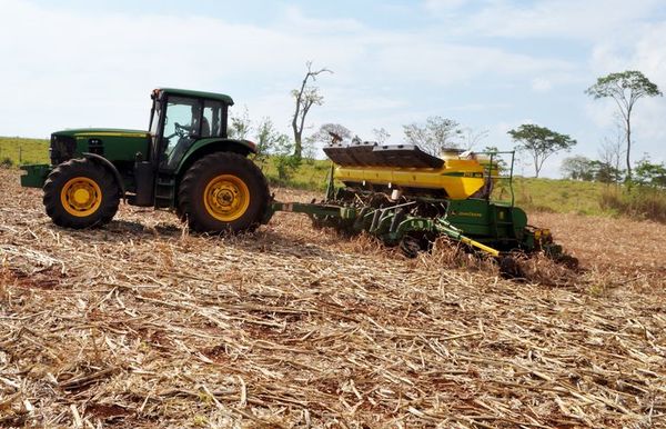 Sequía atrasa la siembra de soja y complica planificación de variedades - Economía - ABC Color