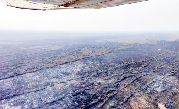 Panorama de desolación y destrucción en Alto Chaco - Interior - ABC Color