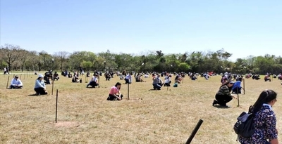 HOY / Festejan el inicio de la Primavera reuniendo a más de 1.500 voluntarios para plantar árboles