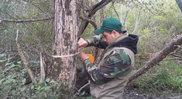 Evalúan población del Palo Santo en la Región Occidental » Ñanduti