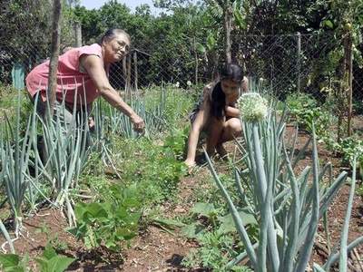 Acortar la brecha digital para mujeres rurales será tema en encuentro internacional | .::Agencia IP::.