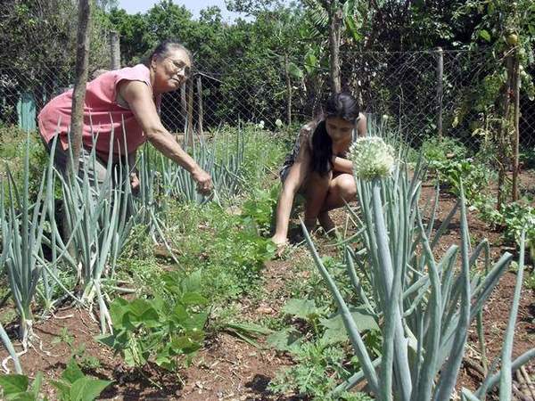 Acortar la brecha digital para mujeres rurales será tema en encuentro internacional | .::Agencia IP::.