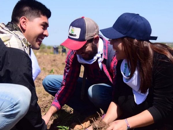 Voluntarios plantaron miles de especies nativas en Guairá