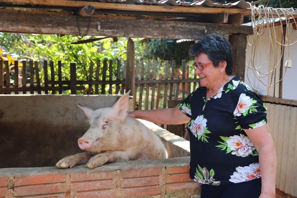 Producción animal, fuente segura de ingresos para familias emprendedoras de Tenonderã | .::Agencia IP::.
