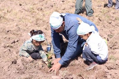 #ParaguayPlanta: 1500 voluntarios plantaron 60 mil árboles
