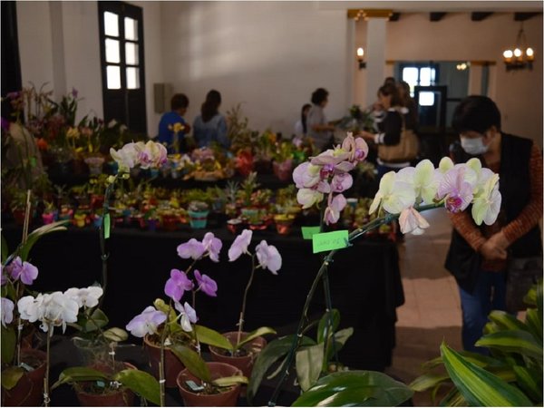 Colorida Expo Orquídeas en Encarnación