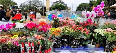 FERIA DE OPORTUNIDADES •