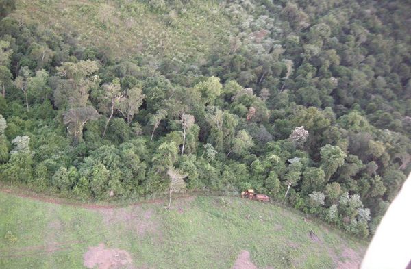 Itaipú dio a conocer los resultados de restauración forestal