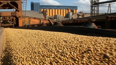 Paraguay exportó soja por USD 1.322 millones en julio