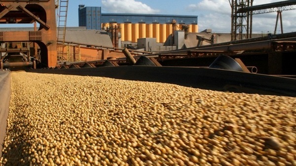 Paraguay exportó soja por USD 1.322 millones en julio
