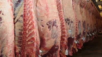 Paraguay exportó carne por USD 245 millones al cierre de marzo