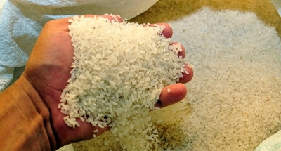 Arroz, trigo y maíz fueron las exportaciones más dinámicas a febrero