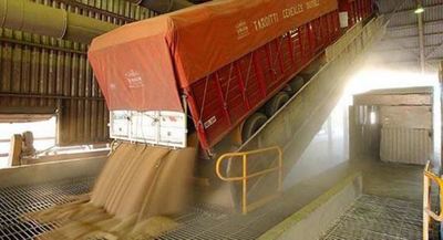 Exportación de soja aumentó 263% a enero