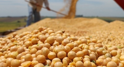 Argentina y Rusia son los principales mercados de la soja y carne nacional