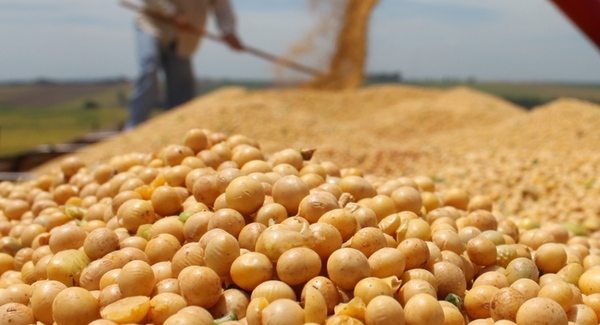 Argentina y Rusia son los principales mercados de la soja y carne nacional