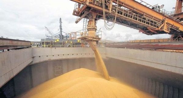 Paraguay cuenta con nuevos mercados para la exportación de la producción de sésamo, soja y azúcar orgánica