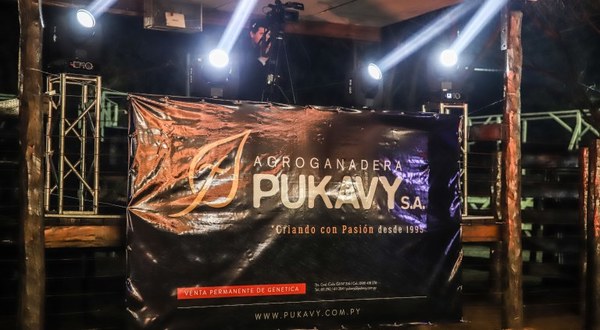 Agroganadera Pukavy realizó por tercera vez la Feria Elite Brangus 2019