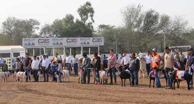 Se inauguró la 45° Edición de la Expo Rodeo Trebol