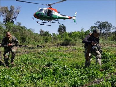 Destruyen 69 toneladas de cannabis en operación paraguaya junto con Argentina