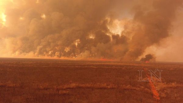 Focos de calor disminuyeron este domingo, según último reporte