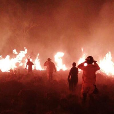 Cazadores furtivos ocasionaron incendio total de reserva biológica en Misiones  - Nacionales - ABC Color