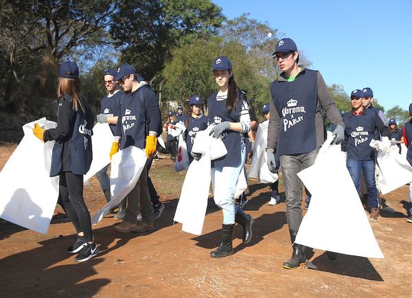 Más de 60 mil kilos de residuos retiraron casi mil voluntarios