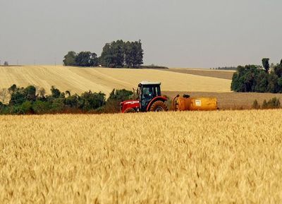 El BCP espera terminar el 2019 con un leve crecimiento positivo