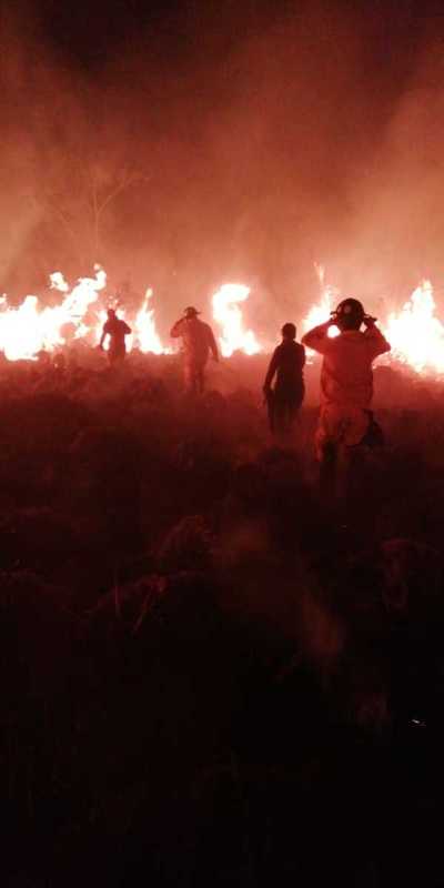 Incendio devastó la reserva biológica de una facultad en Misiones » Ñanduti