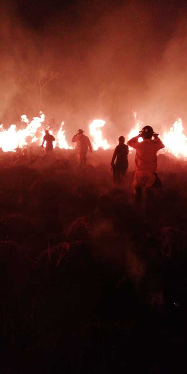 Incendio devastó la reserva biológica de una facultad en Misiones » Ñanduti
