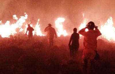 Casi la mitad de una reserva se incendió en Misiones con fuego provocado - Nacionales - ABC Color