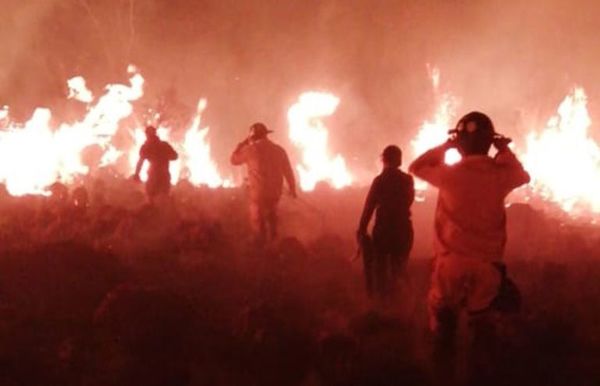 Casi la mitad de una reserva se incendió en Misiones con fuego provocado - Nacionales - ABC Color