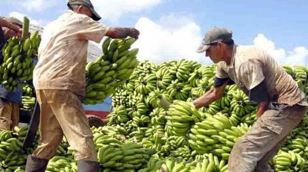 Asisten a pequeños y medianos productores a través del Fondo Ganadero