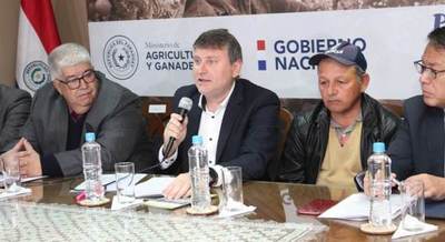 Campaña sesamera generó ingresos de USD 33,5 millones para los productores