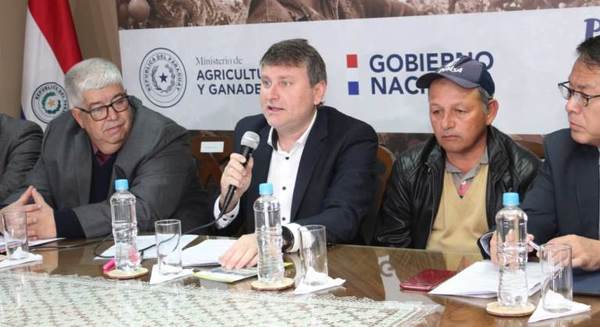 Campaña sesamera generó ingresos de USD 33,5 millones para los productores