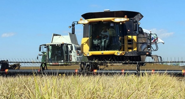 Paraguay consigue el apoyo de parlamentarios brasileños para que no prospere gravamen al arroz