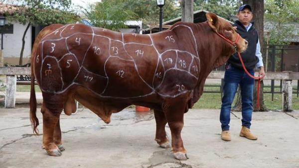 La calidad de un corte de carne se inicia con la selección del animal